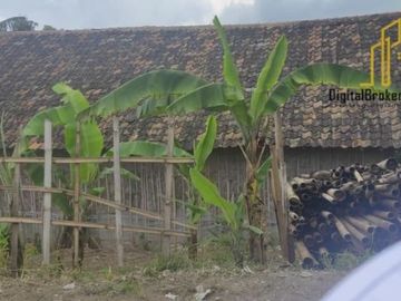 BU CEPAT tanah bekas budidaya jamur di bandung barat