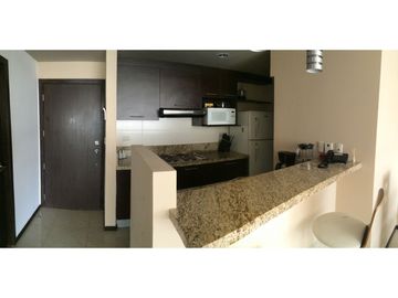 VENDO PRECIOSA SUITE EN ELITE BUILDING