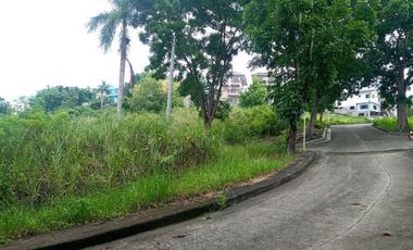 211 sqm CORNER lot for sale at El Monteverde Consolacion