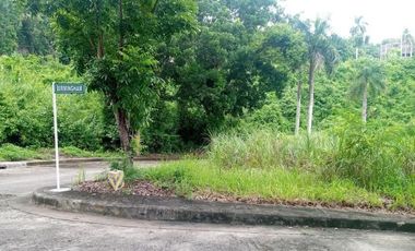 211 sqm CORNER lot for sale at El Monteverde Consolacion