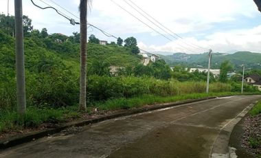 211 sqm CORNER lot for sale at El Monteverde Consolacion