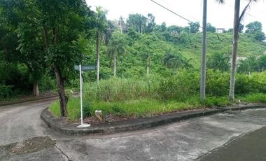 211 sqm CORNER lot for sale at El Monteverde Consolacion