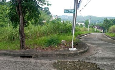 211 sqm CORNER lot for sale at El Monteverde Consolacion