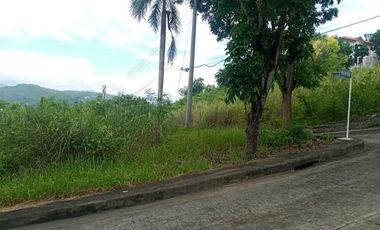 211 sqm CORNER lot for sale at El Monteverde Consolacion
