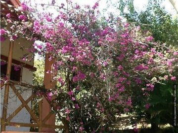 Venta: Casa 4 recámaras en Sorá, Panamá