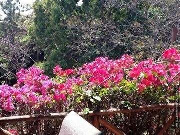 Venta: Casa 4 recámaras en Sorá, Panamá