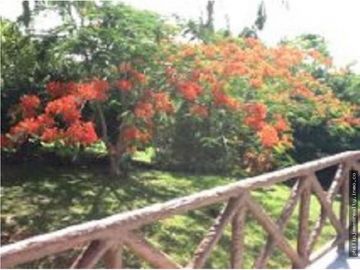 Venta: Casa 4 recámaras en Sorá, Panamá
