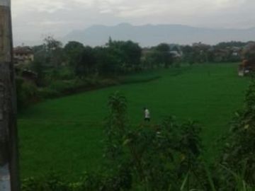 Dijual Cepat Tanah Perumahan 20 Ha Di Cileunyi Kota Bandung