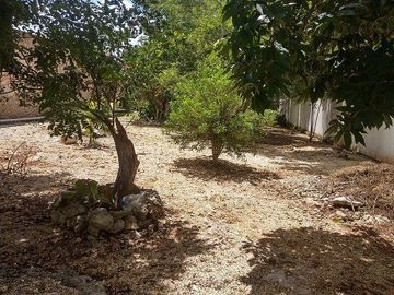Espectacular Casa en Venta! Amplio Jardín, Valladolid, Pueblo
