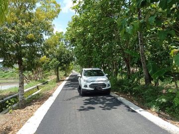 Tanah Investasi Jogja, Kalibawang: SHMP