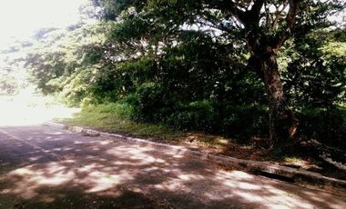 Affordable 150 Sqm Lot for Sale in Greenwoods near Talamban Cebu City