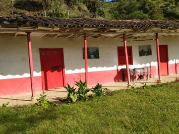 Vendo casa finca con casa campesina en san vicente