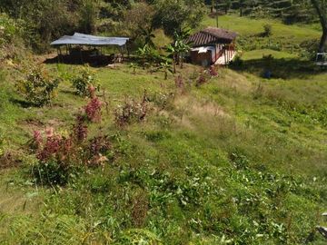 Vendo casa finca con casa campesina en san vicente