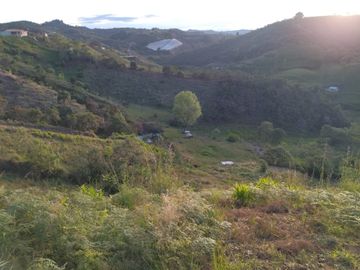 Vendo casa finca con casa campesina en san vicente