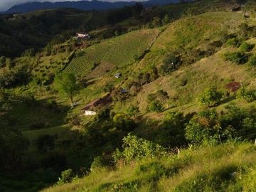Vendo casa finca con casa campesina en san vicente