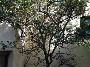 VENTA CASA DOS DORMITORIOS CON COCHERA