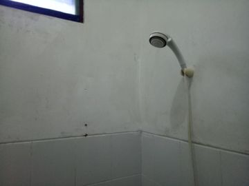 Rumah Jogja Surga Kuliner Harga Terjangkau 3 menit ke Pasar Kolombo