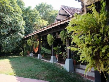 finca en venta en vereda la antigua, municipio carmen de apicalá. Cod V700024