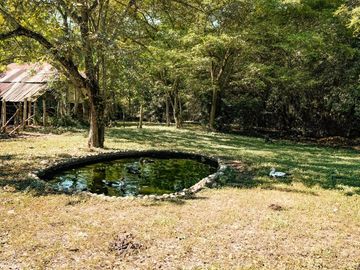 finca en venta en vereda la antigua, municipio carmen de apicalá. Cod V700024