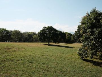finca en venta en vereda la antigua, municipio carmen de apicalá. Cod V700024
