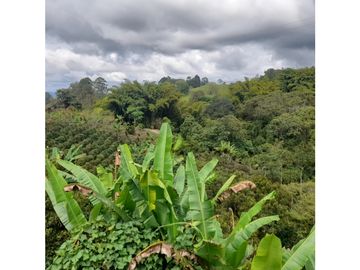 finca con hermosa vista en Filandia
