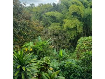 finca con hermosa vista en Filandia