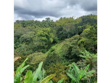 finca con hermosa vista en Filandia