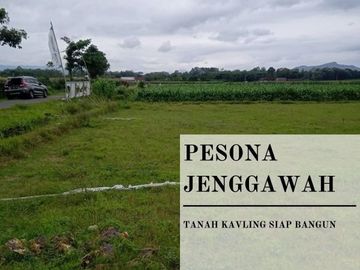 Tanah Murah Harga Ekonomis di Jember