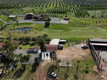1.81 HA FRENTE A FINCA ALTOZANO EN VALLE DE GUADALUPE