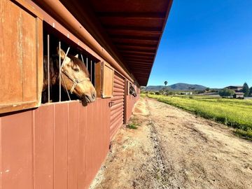 1.81 HA FRENTE A FINCA ALTOZANO EN VALLE DE GUADALUPE
