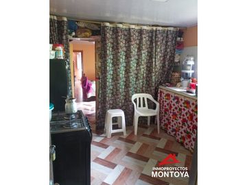 Permuta‼ Finca de aguacate Hass en Génova, Quindío