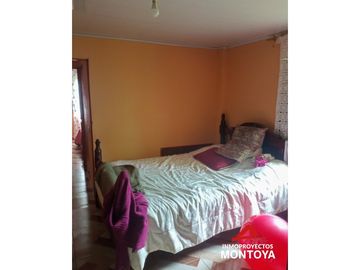 Permuta‼ Finca de aguacate Hass en Génova, Quindío