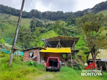 Permuta‼ Finca de aguacate Hass en Génova, Quindío