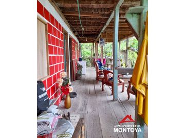 Permuta‼ Finca de aguacate Hass en Génova, Quindío