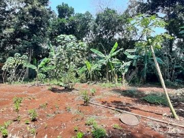 Tanah Dipinggir Jalan Raya Utama Pendowo Limo Cinere, Depok