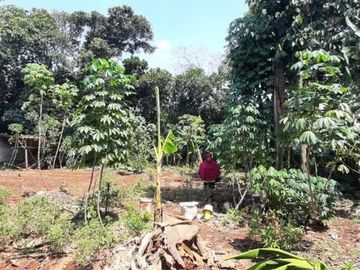 Tanah Dipinggir Jalan Raya Utama Pendowo Limo Cinere, Depok