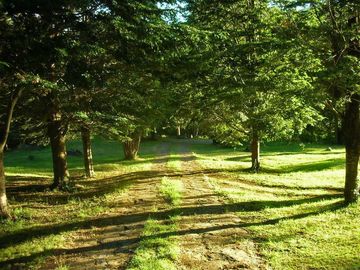 7,4ha A Orilla Del Lago Colico, 120m De Playa, Casa Más Cabaña