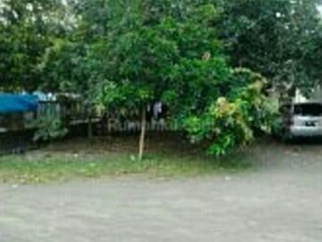 DIJUAL RUMAH TUA LUAS DI BANGIL, PASURUAN DEKAT ALUN2