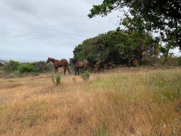 Sitio en Venta en Loteo / Raíces de Mantagua