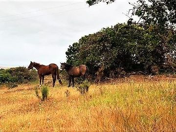 Sitio en Venta en Loteo //Condominio Raices de Mantagua Quintero