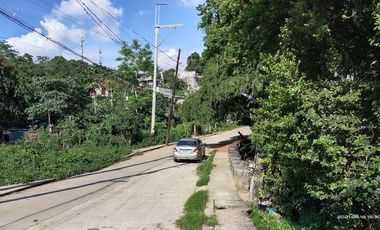 862 SqM Vacant Lot, 22.34-meter frontage along Saplungan St., Amparo Subd, GOOD for Townhouses