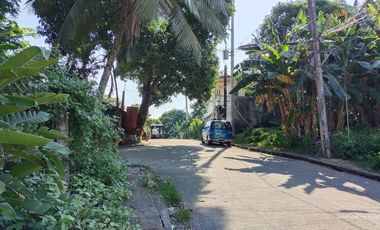 862 SqM Vacant Lot, 22.34-meter frontage along Saplungan St., Amparo Subd, GOOD for Townhouses