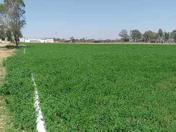 RANCHO EN VENTA CON POZO PROPIO