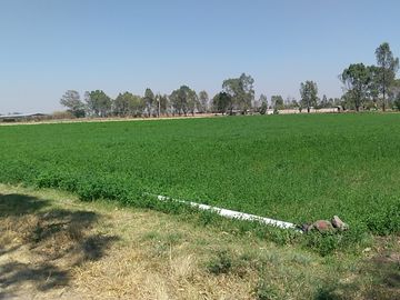 RANCHO EN VENTA CON POZO PROPIO
