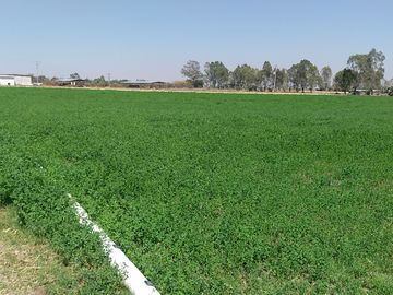 RANCHO EN VENTA CON POZO PROPIO
