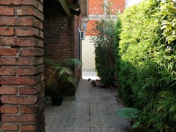 CASA EN LOTE PROPIO DE 3 AMBIENTES