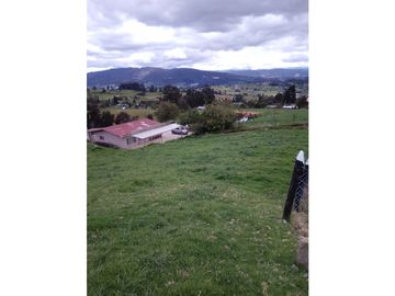 FINCA COGUA
