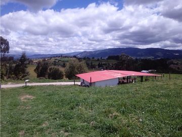 FINCA COGUA