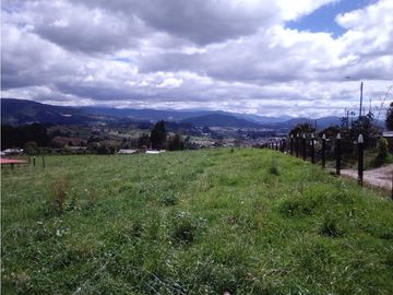 FINCA COGUA