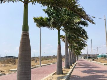 Proyecto en Playas Villamil - Urb.Brisas & Palmeras - casa de 2-3 Dormitorios
